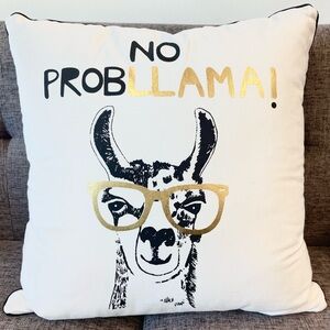 CLEAN No Probllama pillow